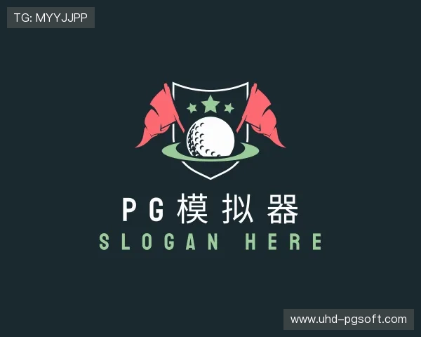 介绍pg模拟器